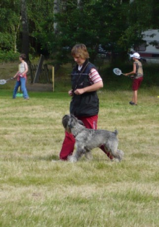 9. poslušnost:chůze u nohy